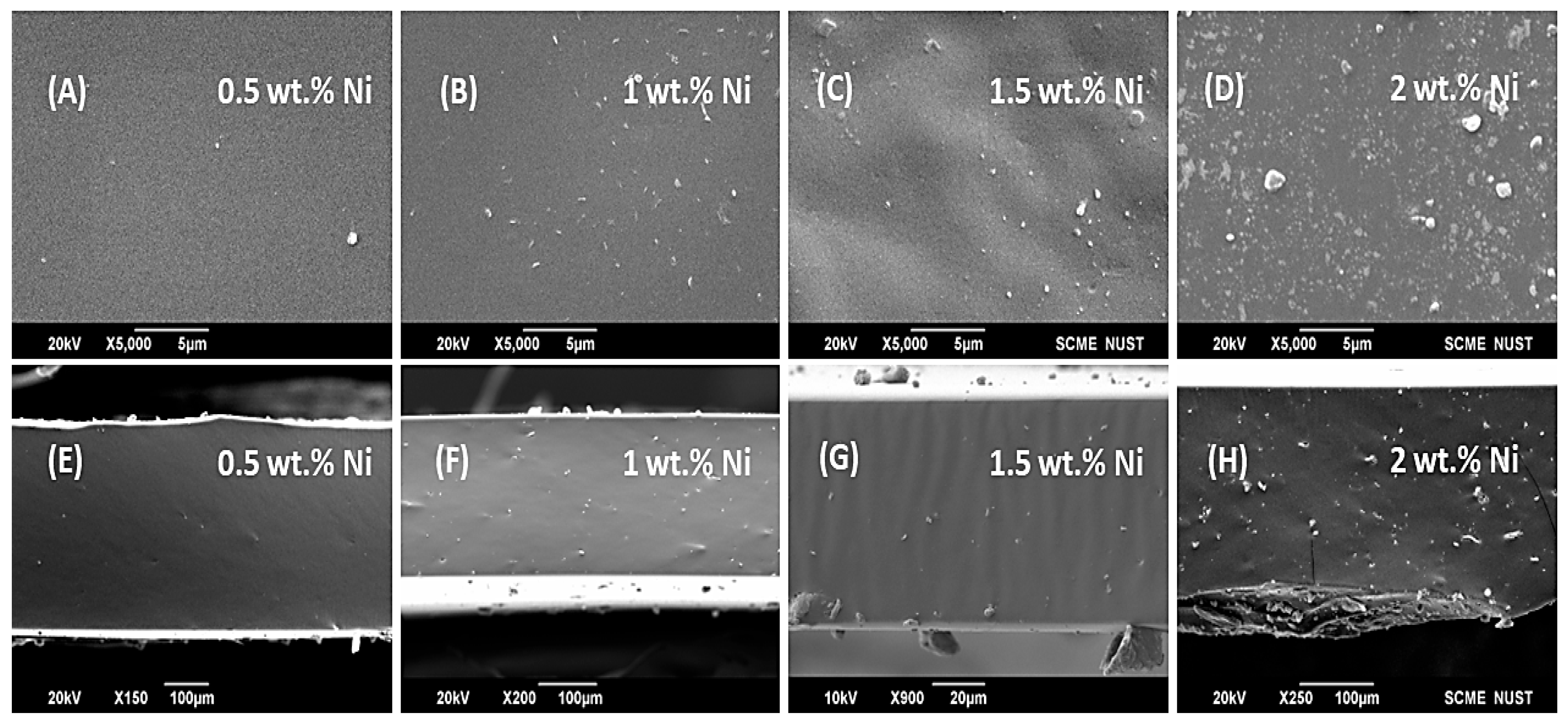 Polymers 18 01303 g009 Polymers 18 01303 g009