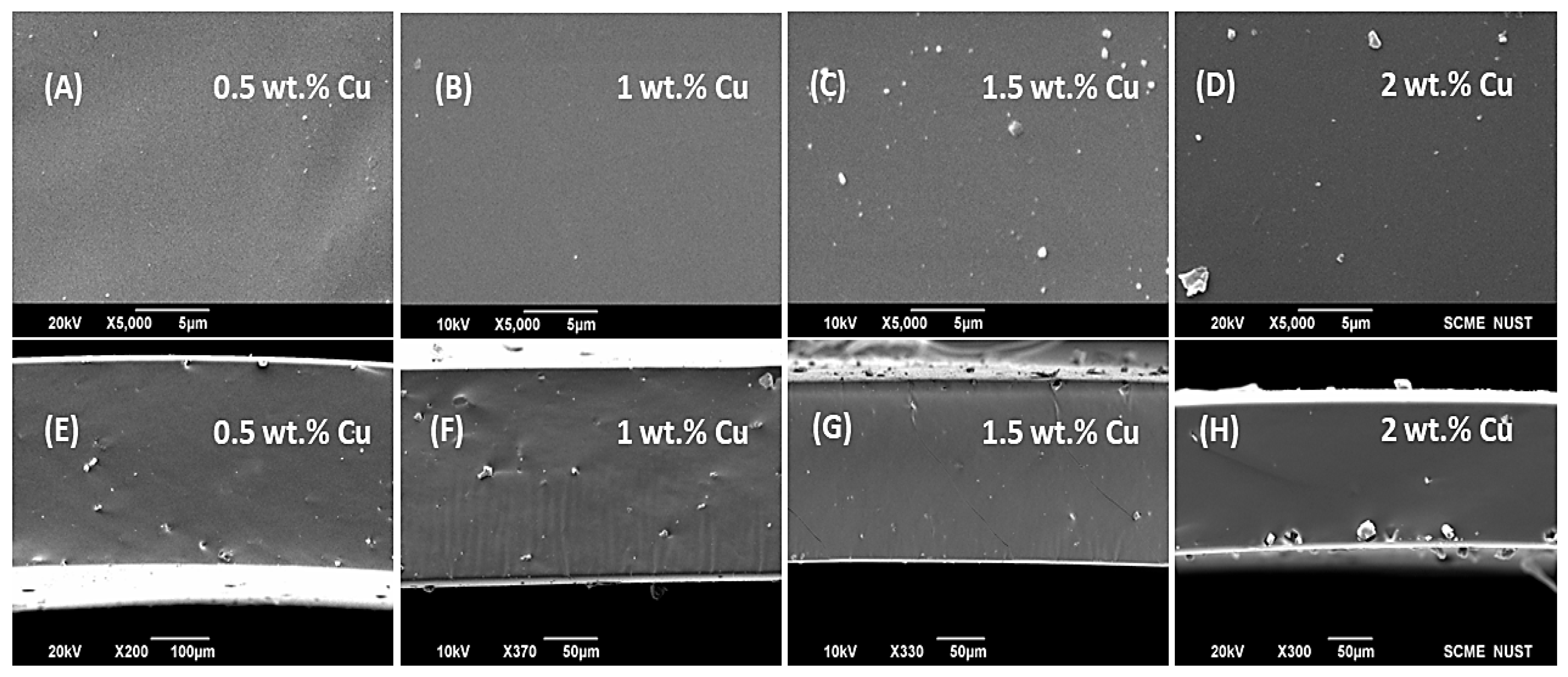 Polymers 18 01303 g010 Polymers 18 01303 g010