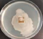 Polymers 18 01527 i009 Polymers 18 01527 i009