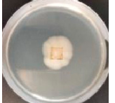 Polymers 18 01527 i015 Polymers 18 01527 i015