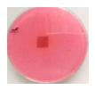 Polymers 18 01527 i023 Polymers 18 01527 i023