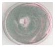 Polymers 18 01527 i024 Polymers 18 01527 i024