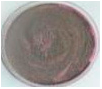 Polymers 18 01527 i026 Polymers 18 01527 i026