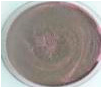 Polymers 18 01527 i027 Polymers 18 01527 i027