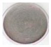 Polymers 18 01527 i029 Polymers 18 01527 i029