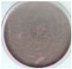 Polymers 18 01527 i039 Polymers 18 01527 i039