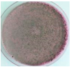 Polymers 18 01527 i047 Polymers 18 01527 i047