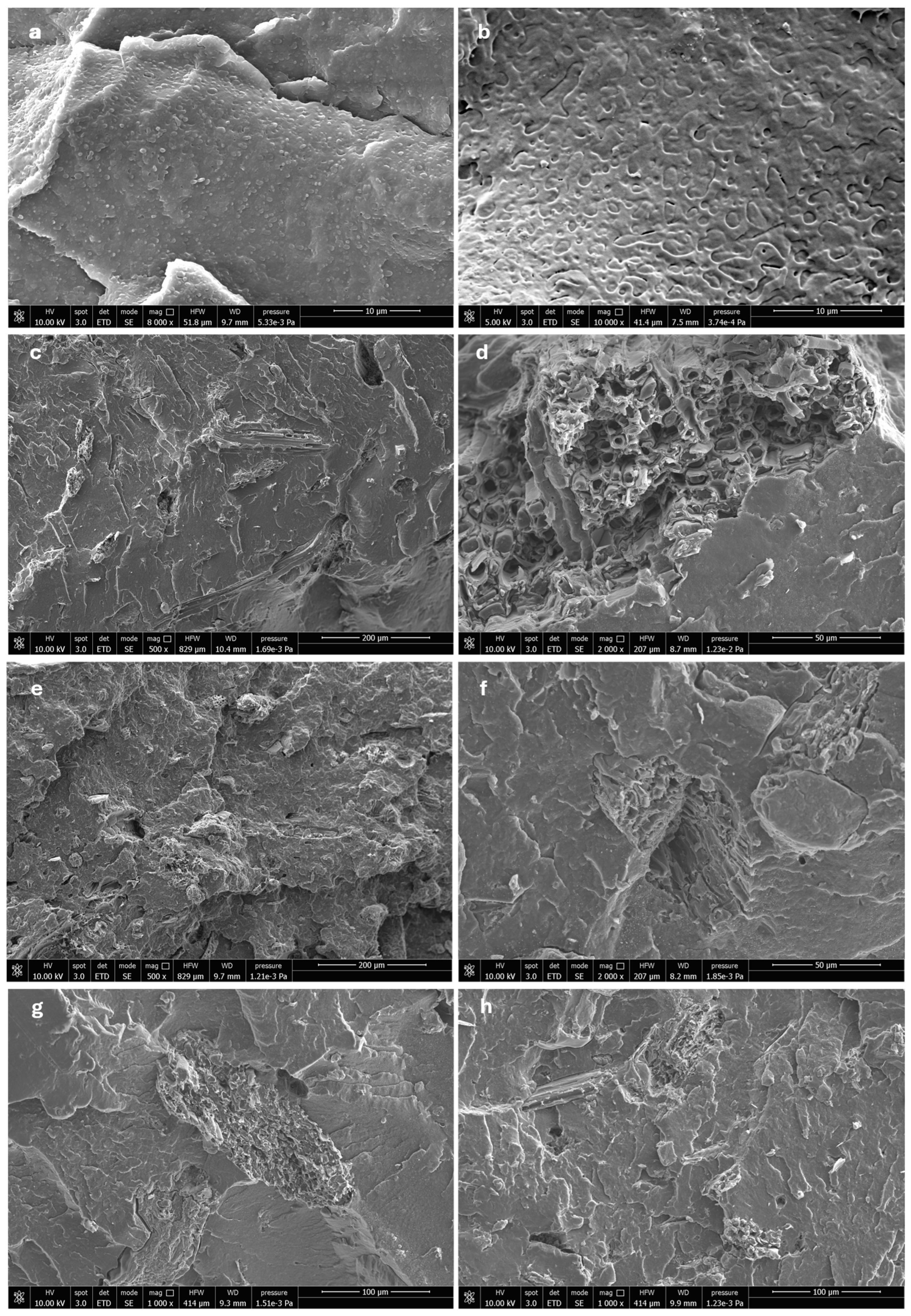 Polymers 18 01553 g005 Polymers 18 01553 g005