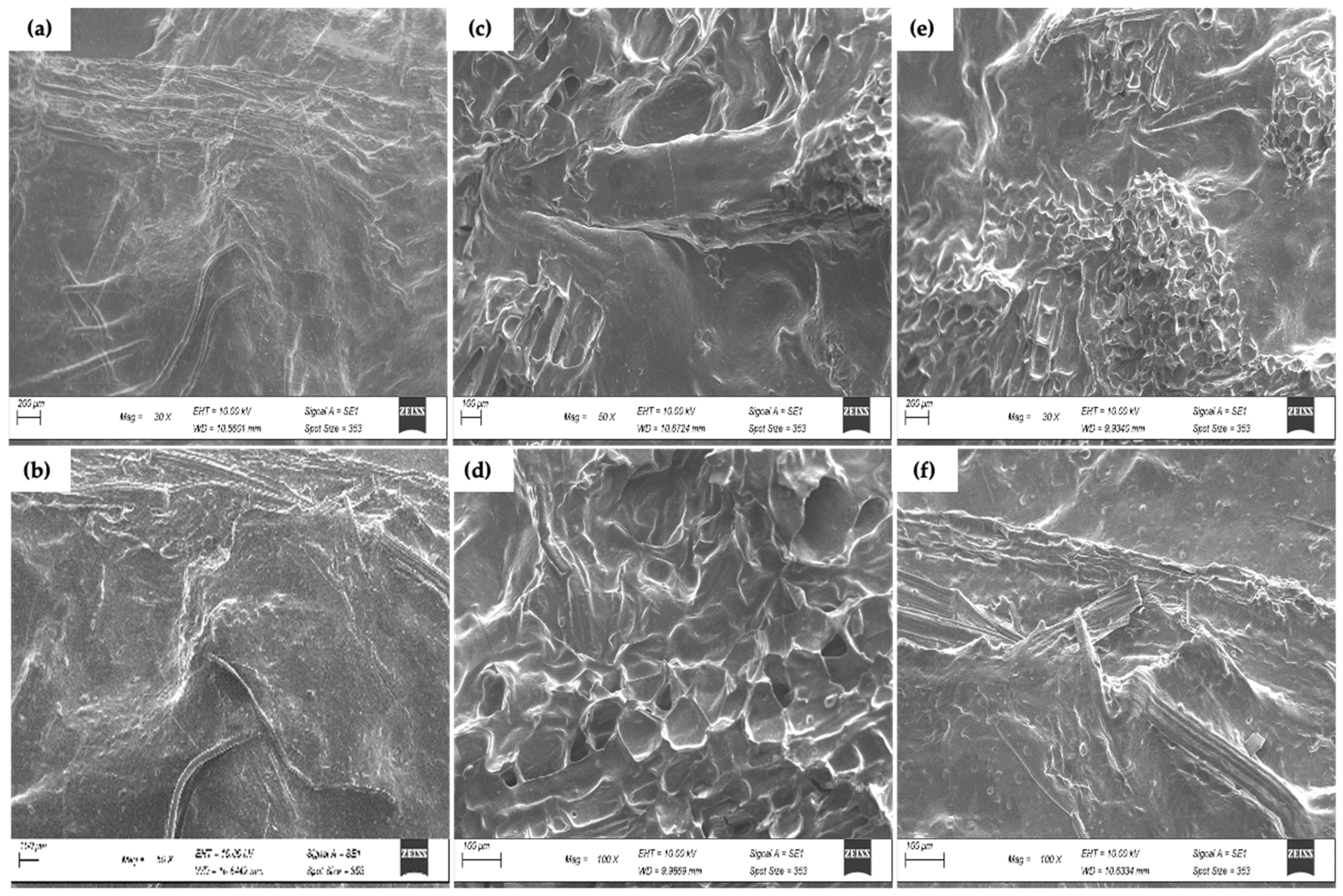 Polymers 18 01575 g002 Polymers 18 01575 g002