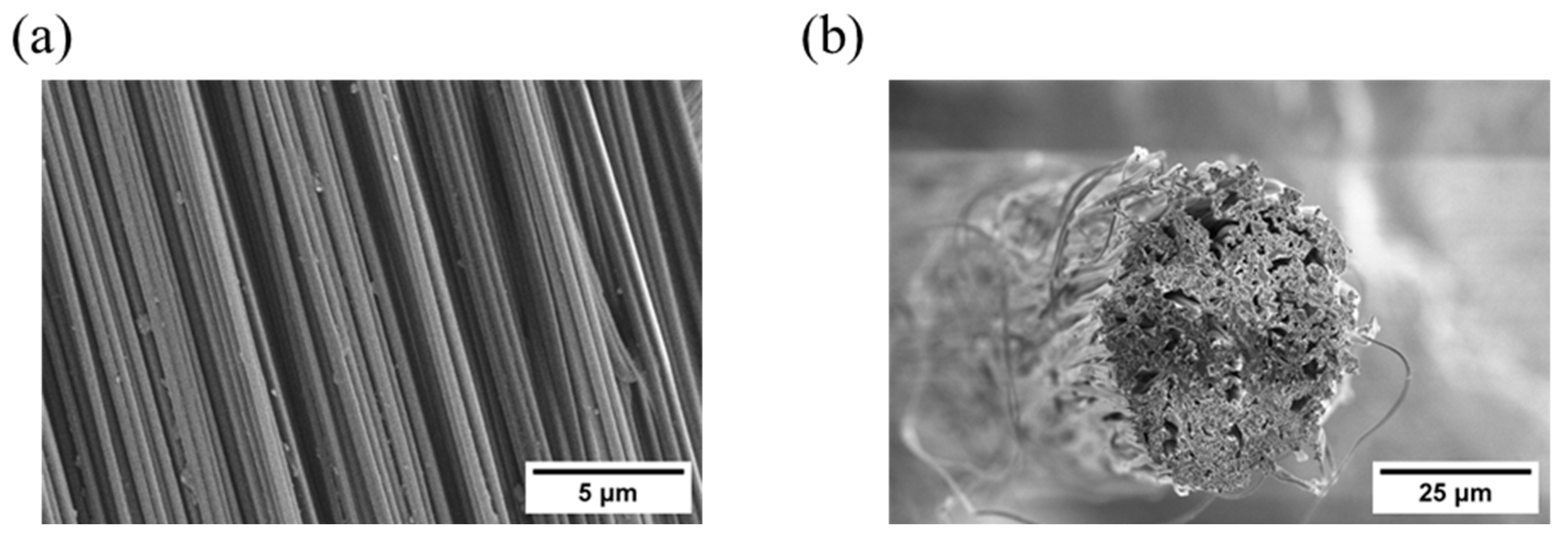 Polymers 18 01592 g002