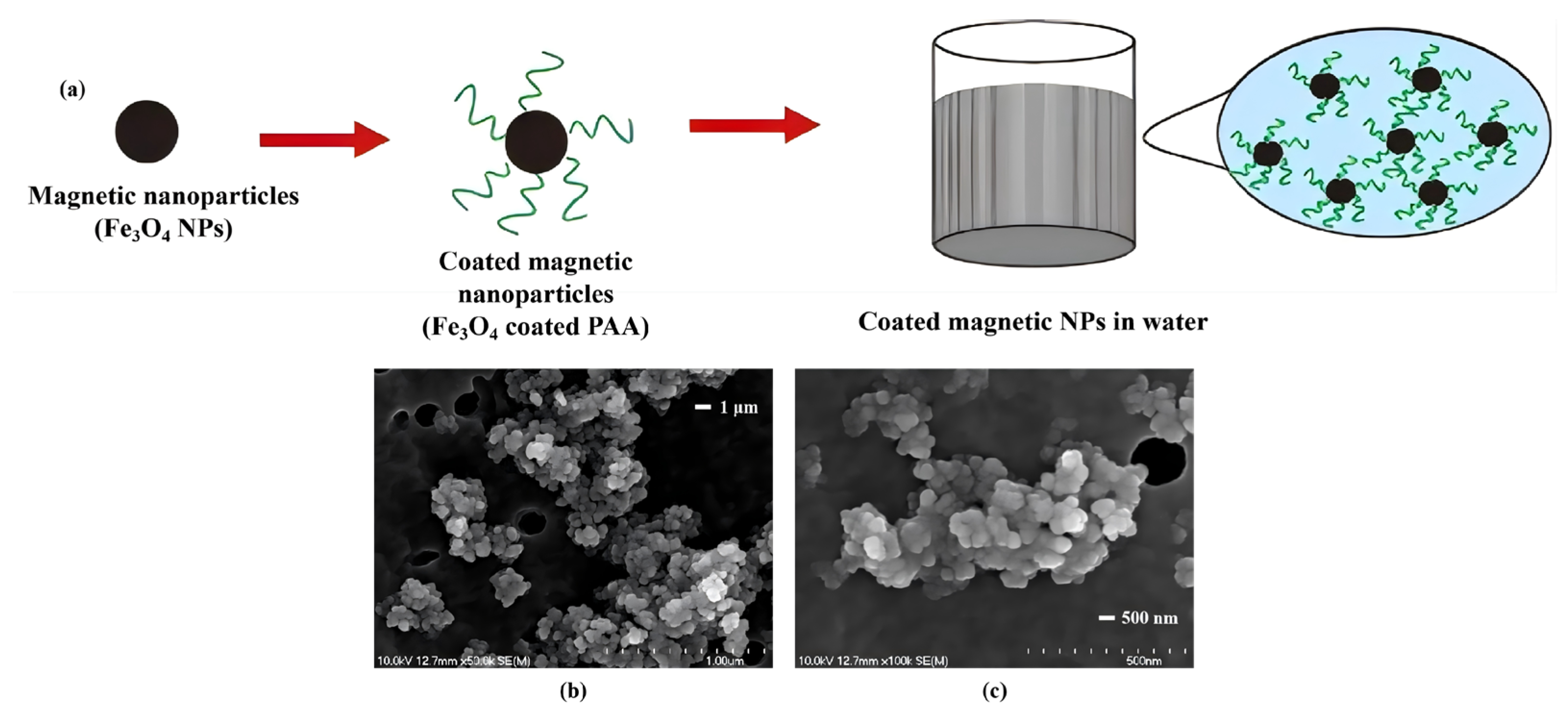 Polymers 18 01614 g001 Polymers 18 01614 g001