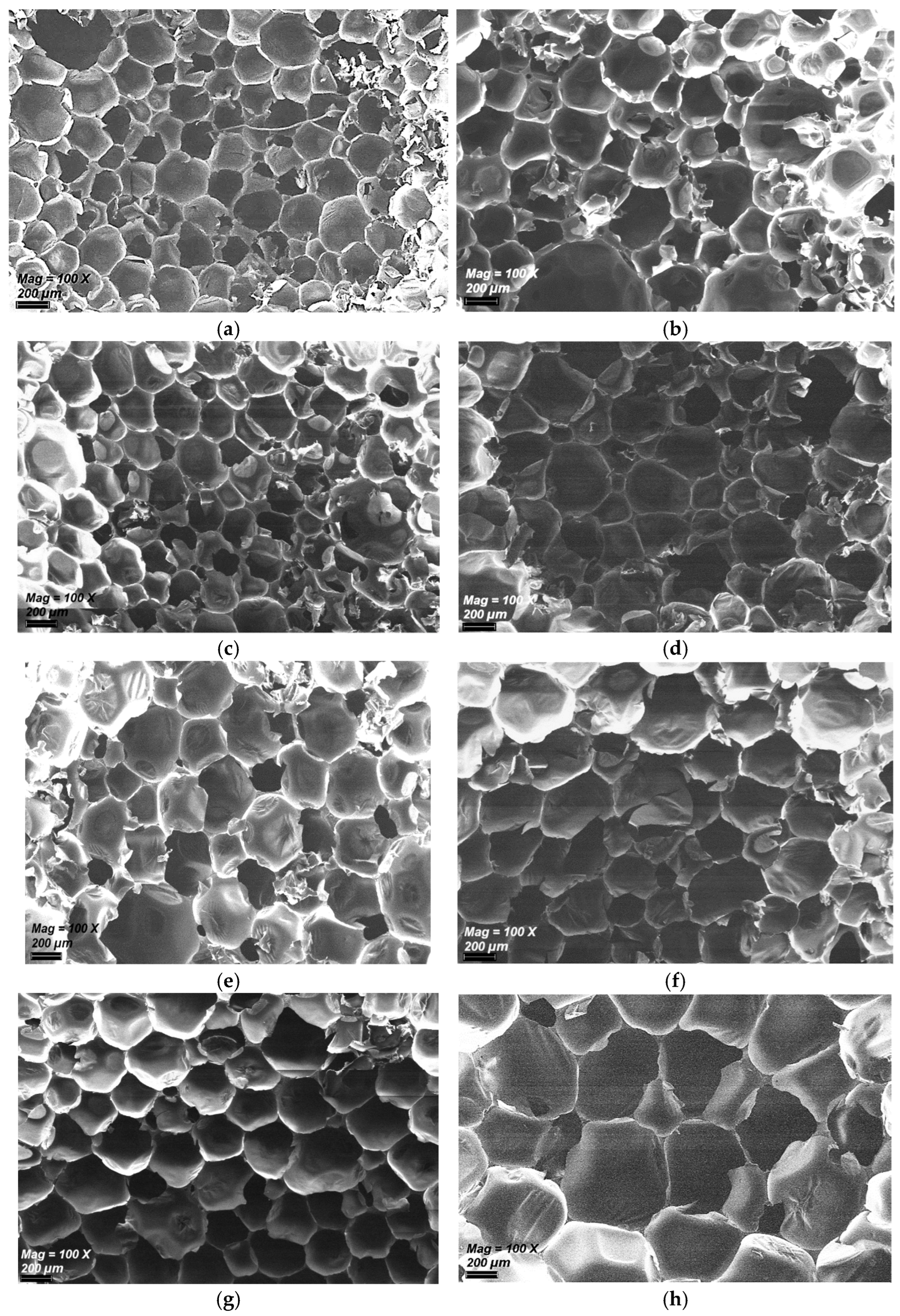 Polymers 18 01633 g003 Polymers 18 01633 g003