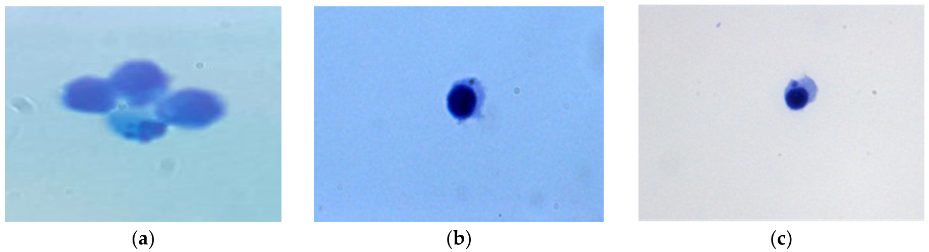 Polymers 18 01771 g001 Polymers 18 01771 g001