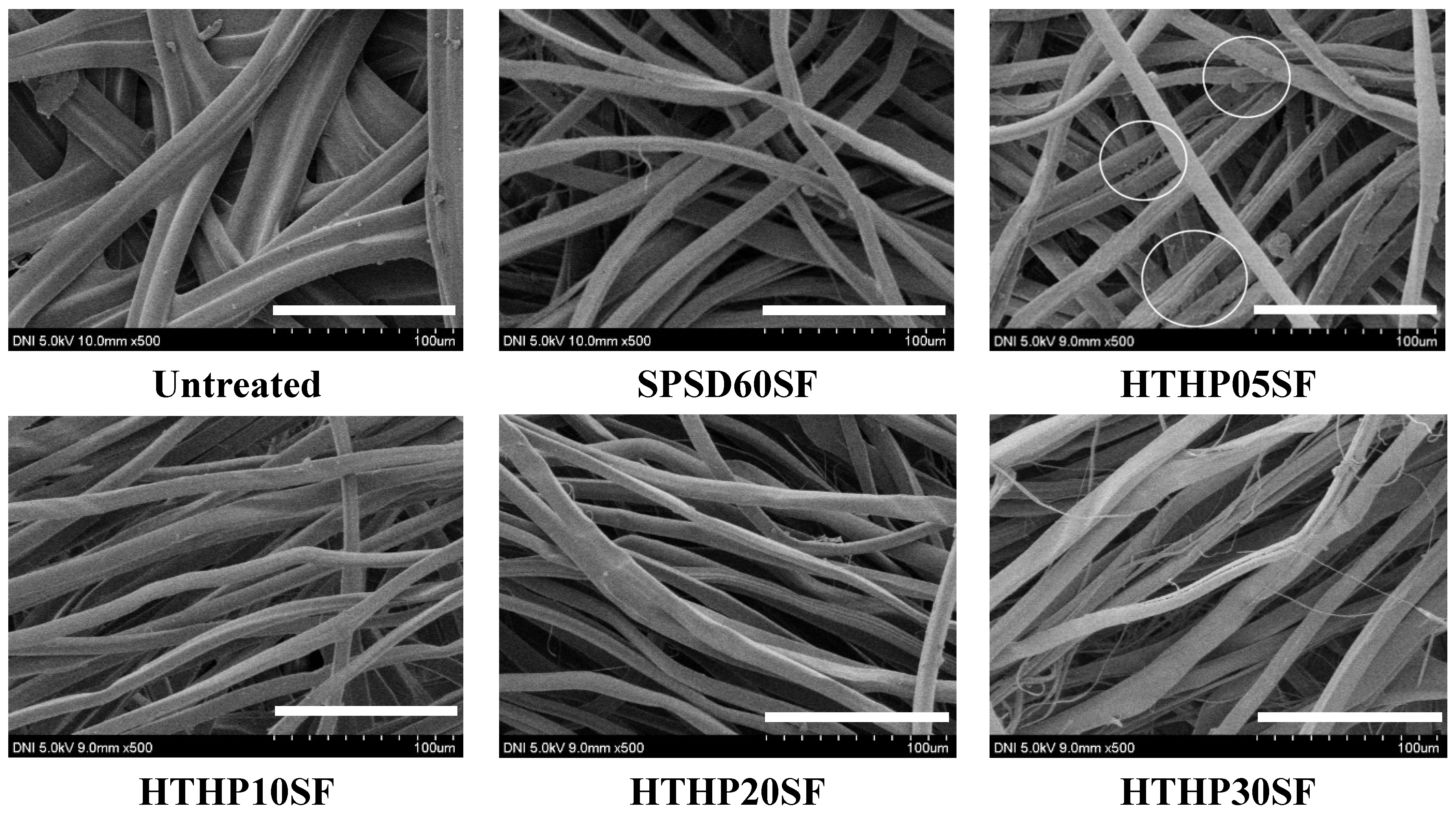 Polymers 18 01919 g003 Polymers 18 01919 g003