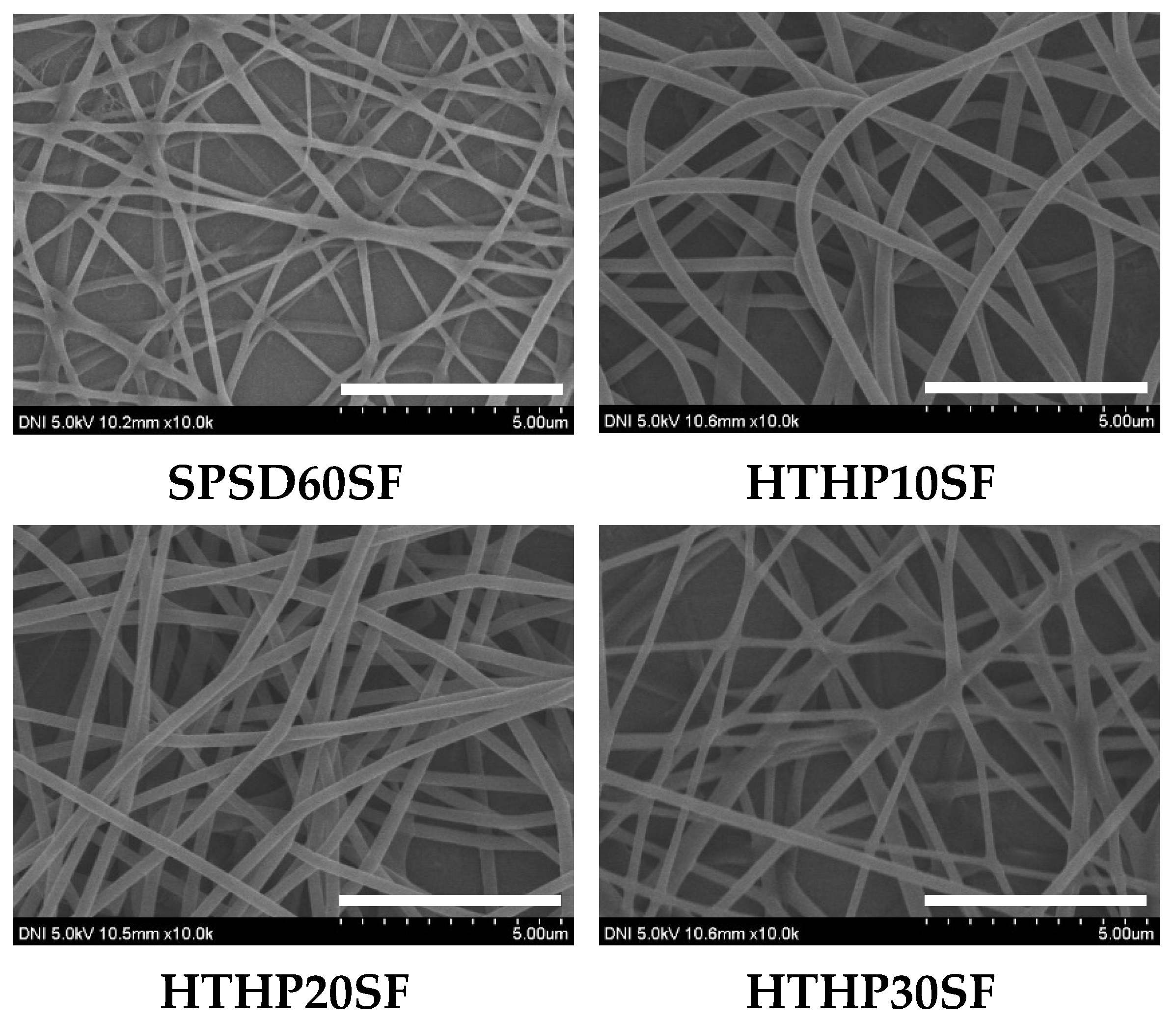 Polymers 18 01919 g006 Polymers 18 01919 g006