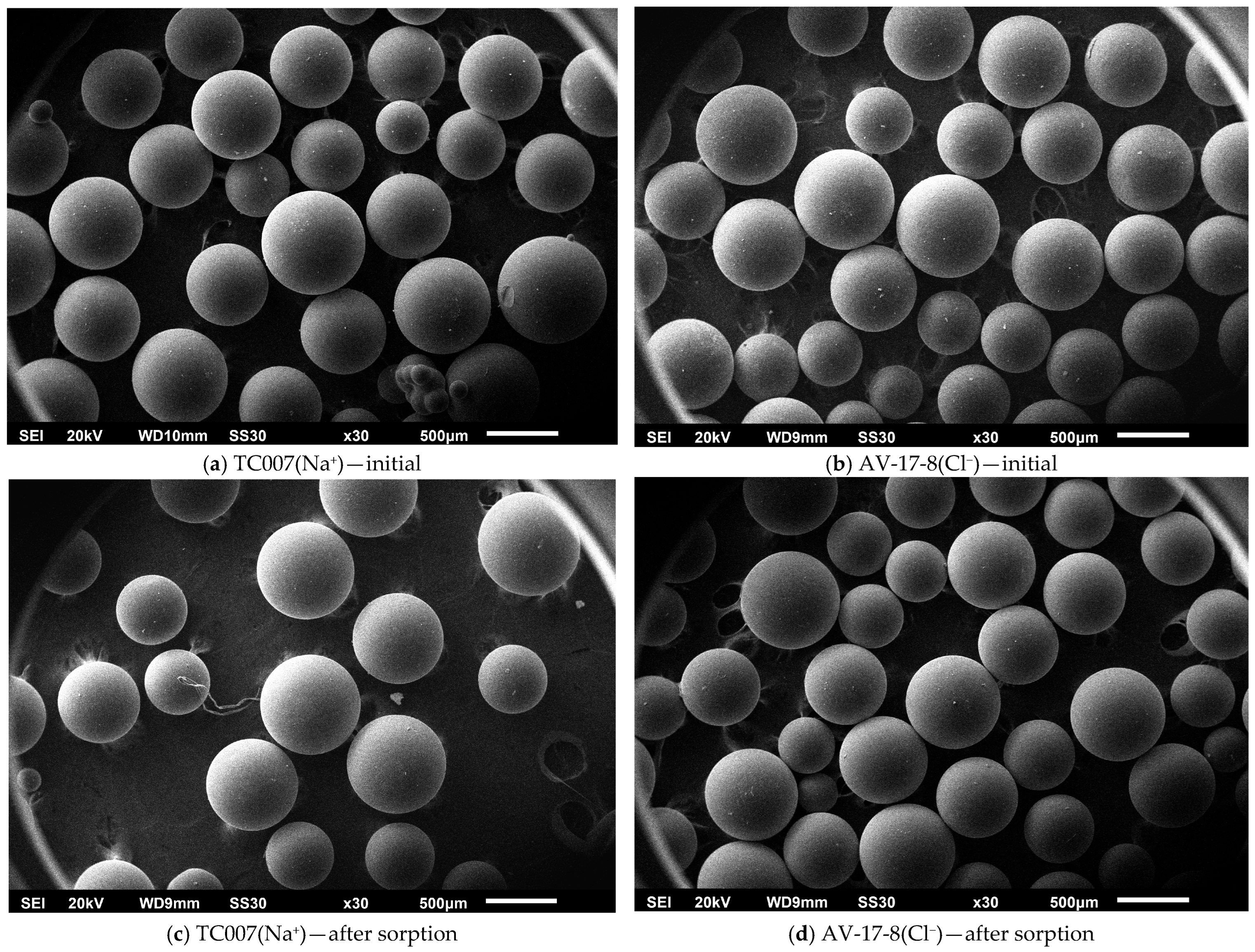 Polymers 18 02016 g001 Polymers 18 02016 g001