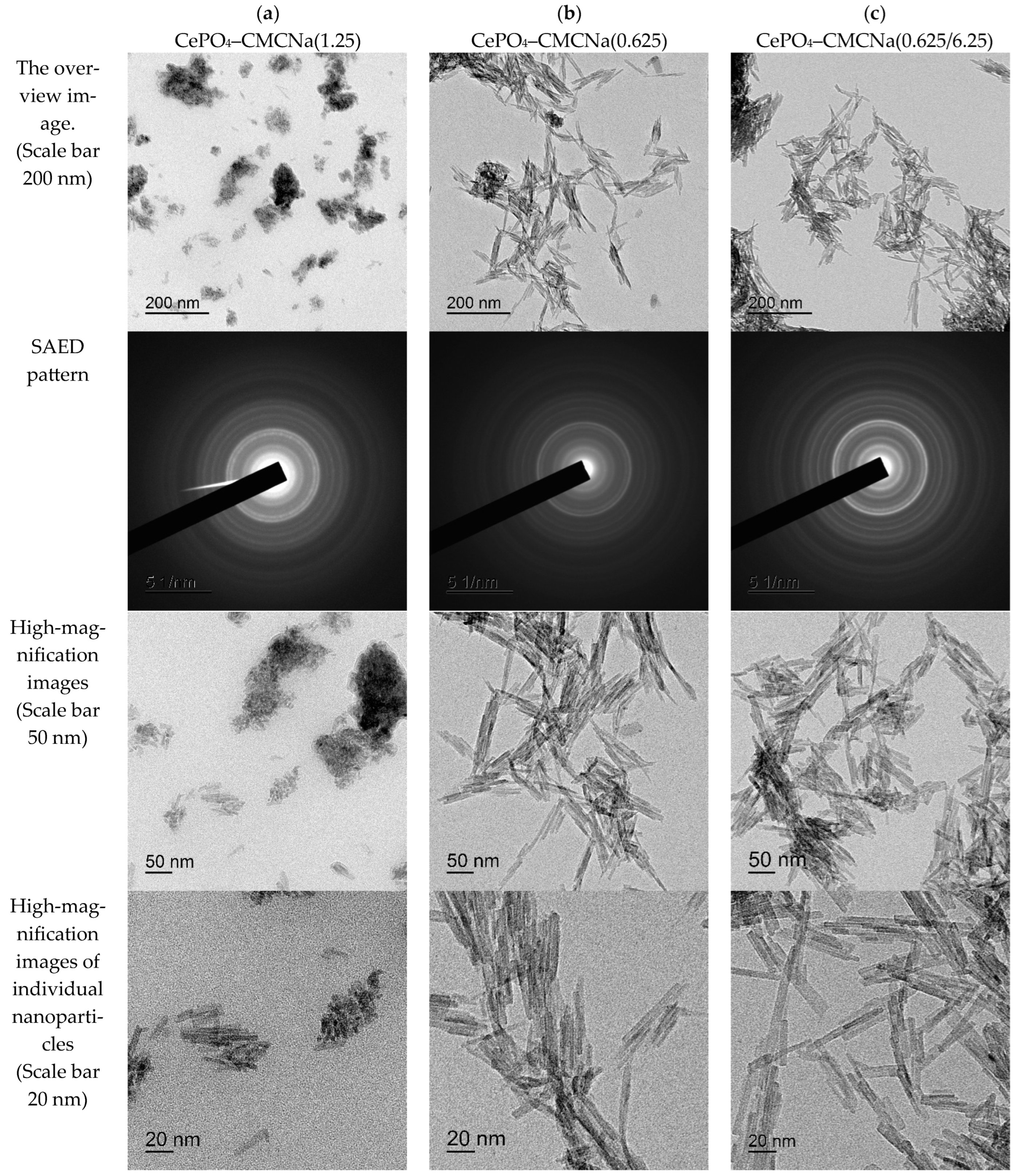 Polymers 18 02079 g008 Polymers 18 02079 g008