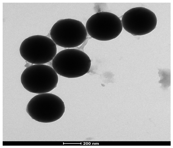 Polymers 18 02155 g007 Polymers 18 02155 g007