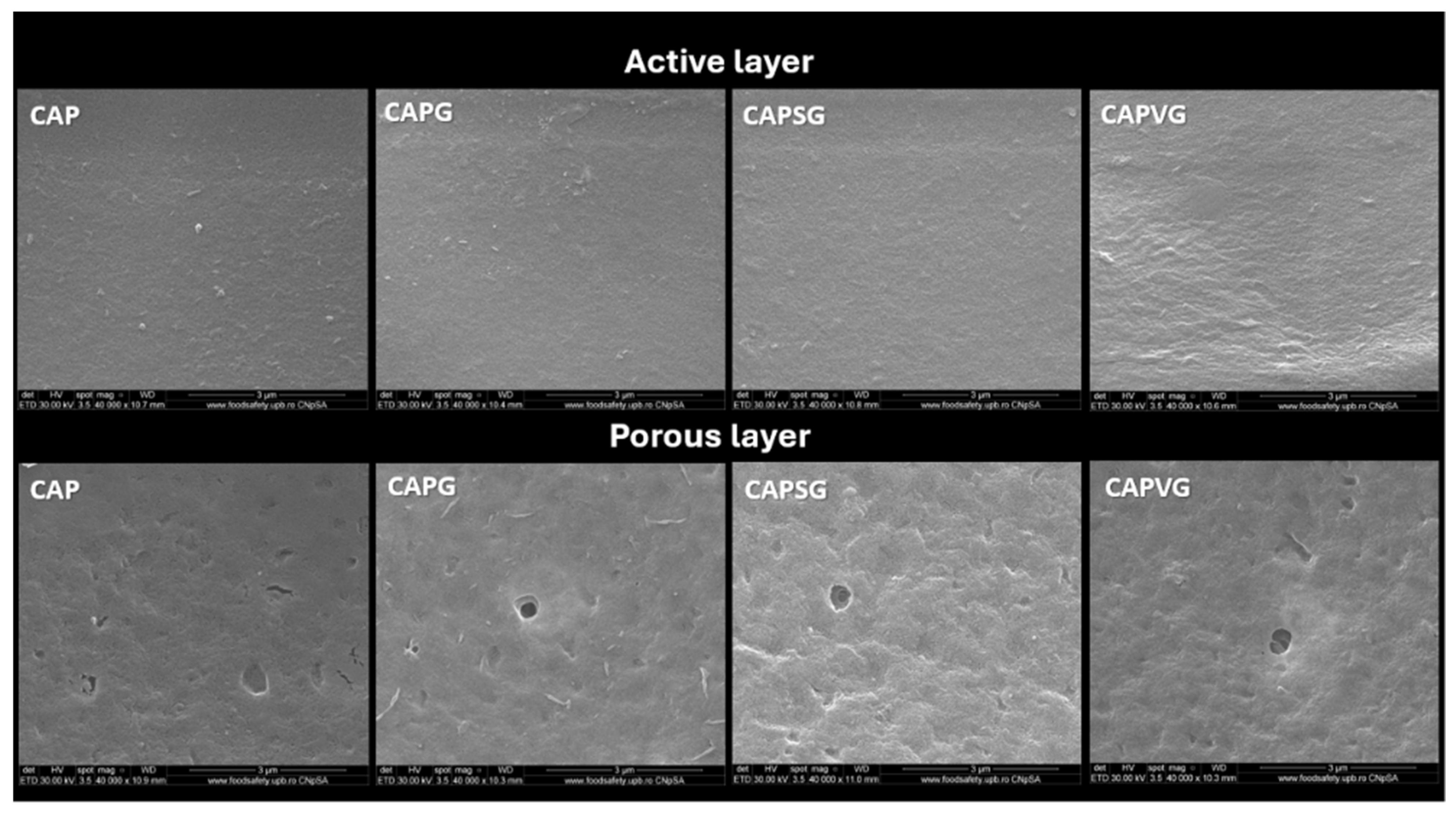 Polymers 18 02193 g007 Polymers 18 02193 g007