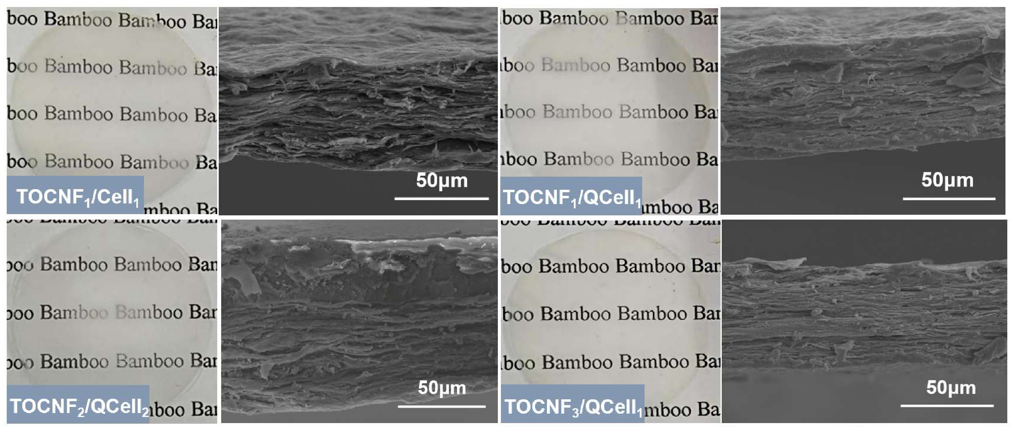 Polymers 18 02367 g005 Polymers 18 02367 g005