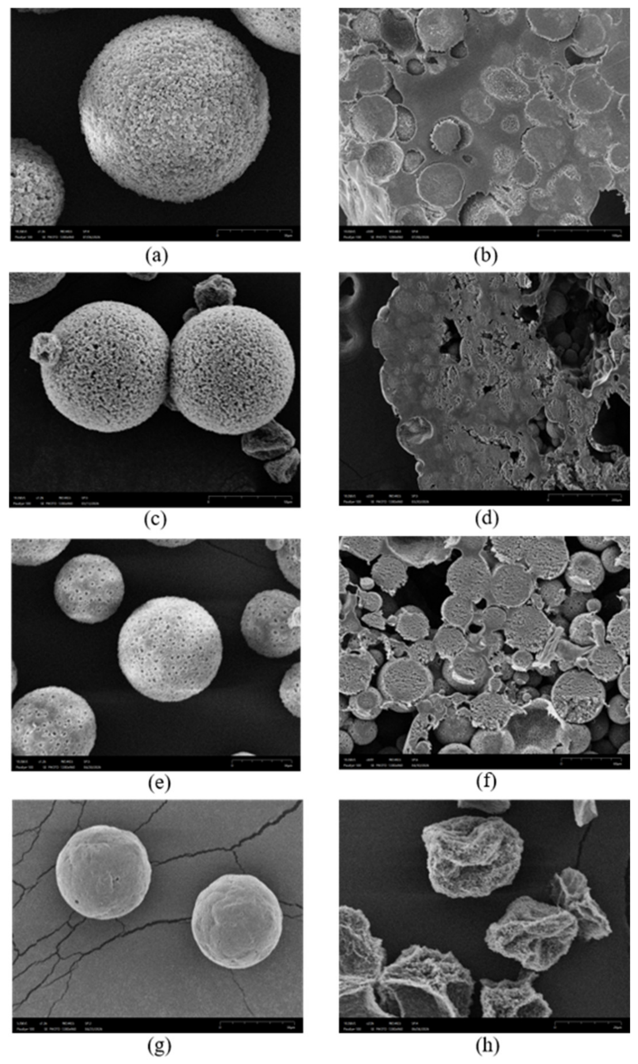 Polymers 18 02415 g005