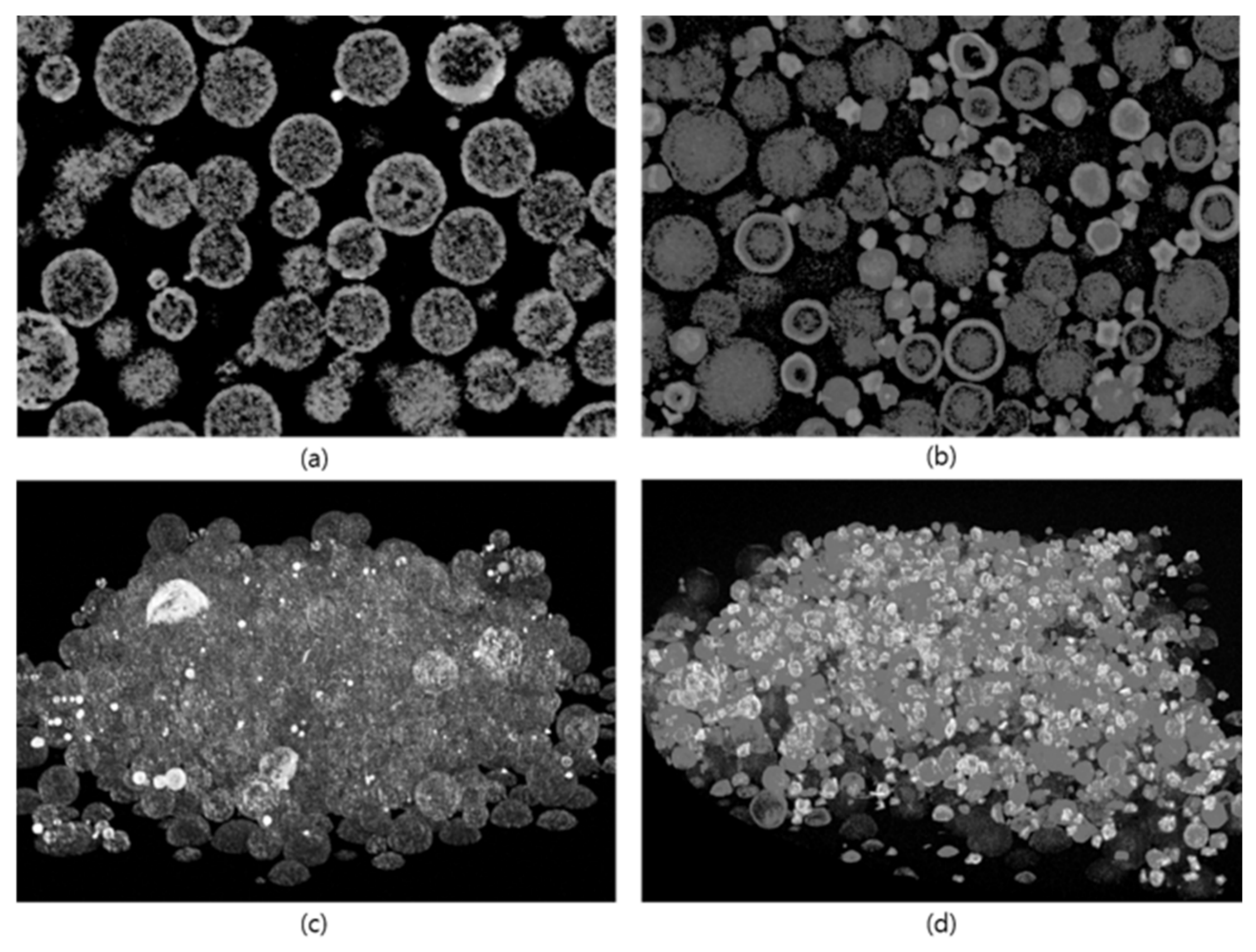 Polymers 18 02415 g006