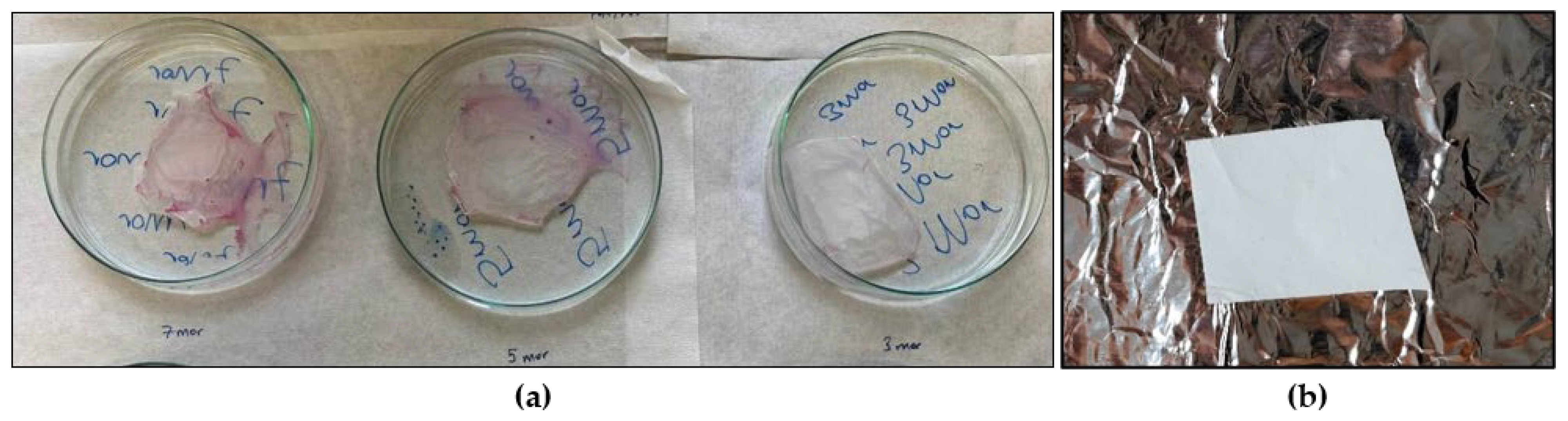 Polymers 18 02479 g001 Polymers 18 02479 g001