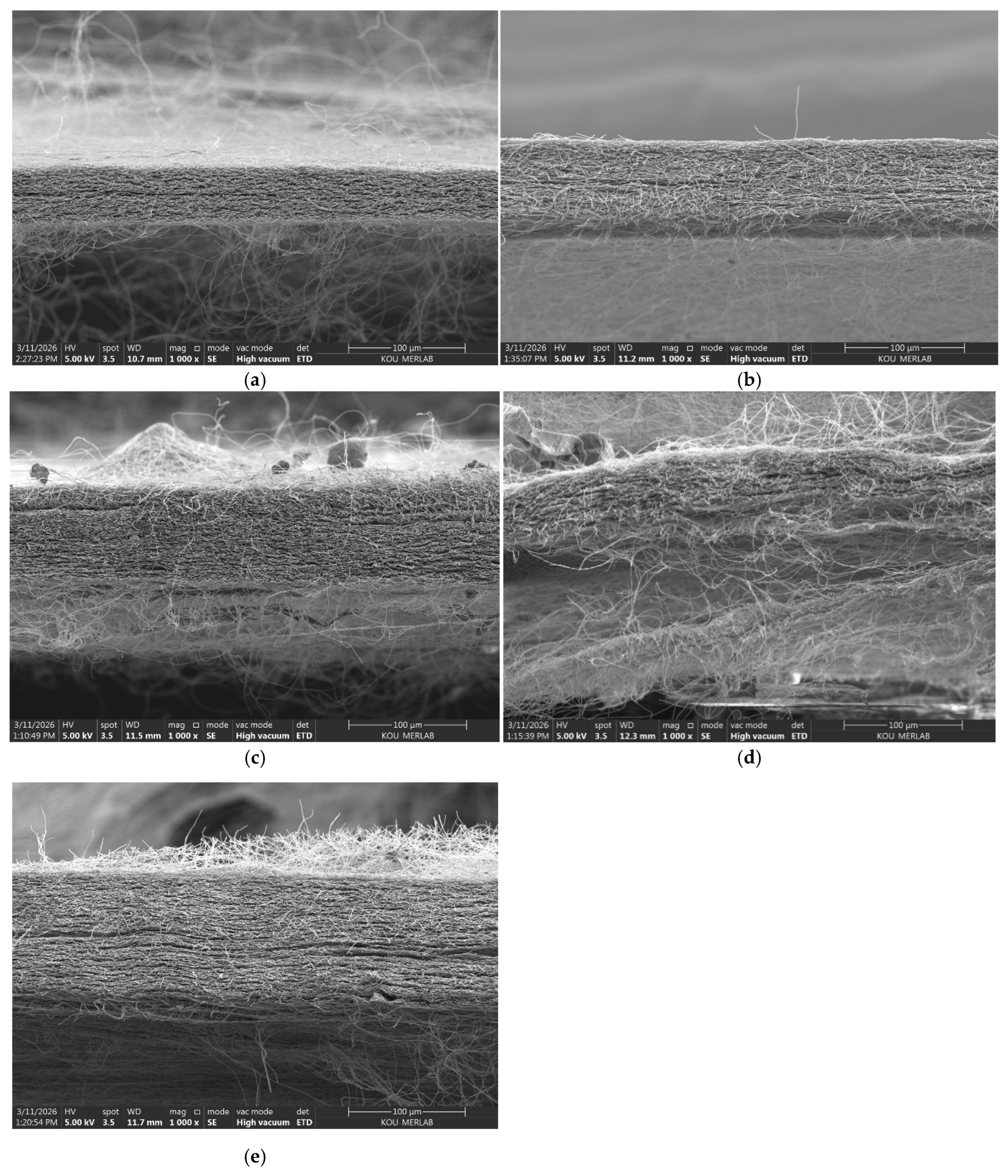Polymers 18 02479 g003 Polymers 18 02479 g003
