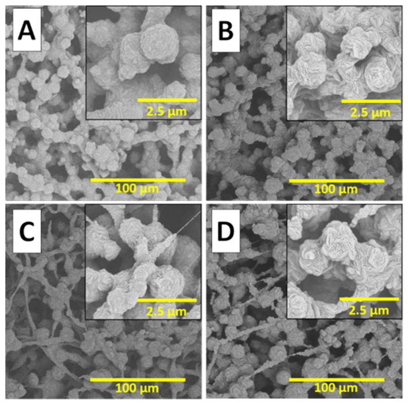 Polymers 18 02504 g003 Polymers 18 02504 g003