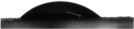 Polymers 18 02558 i004 Polymers 18 02558 i004