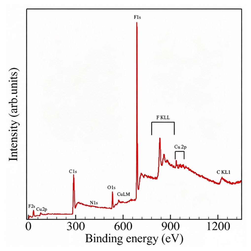 Polymers 18 02562 g009