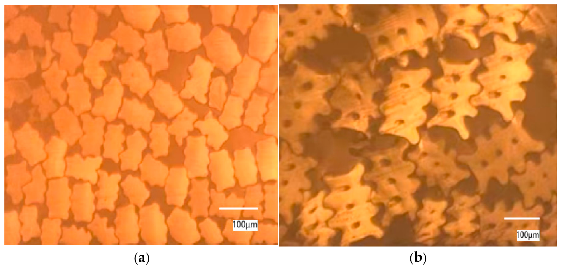 Polymers 18 02567 g013 Polymers 18 02567 g013