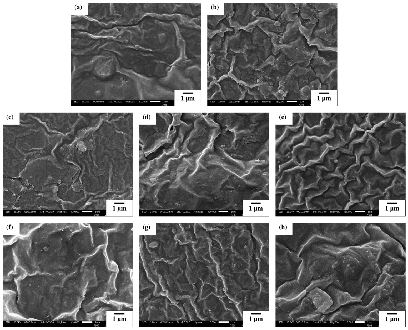 Polymers 18 02571 g005 Polymers 18 02571 g005