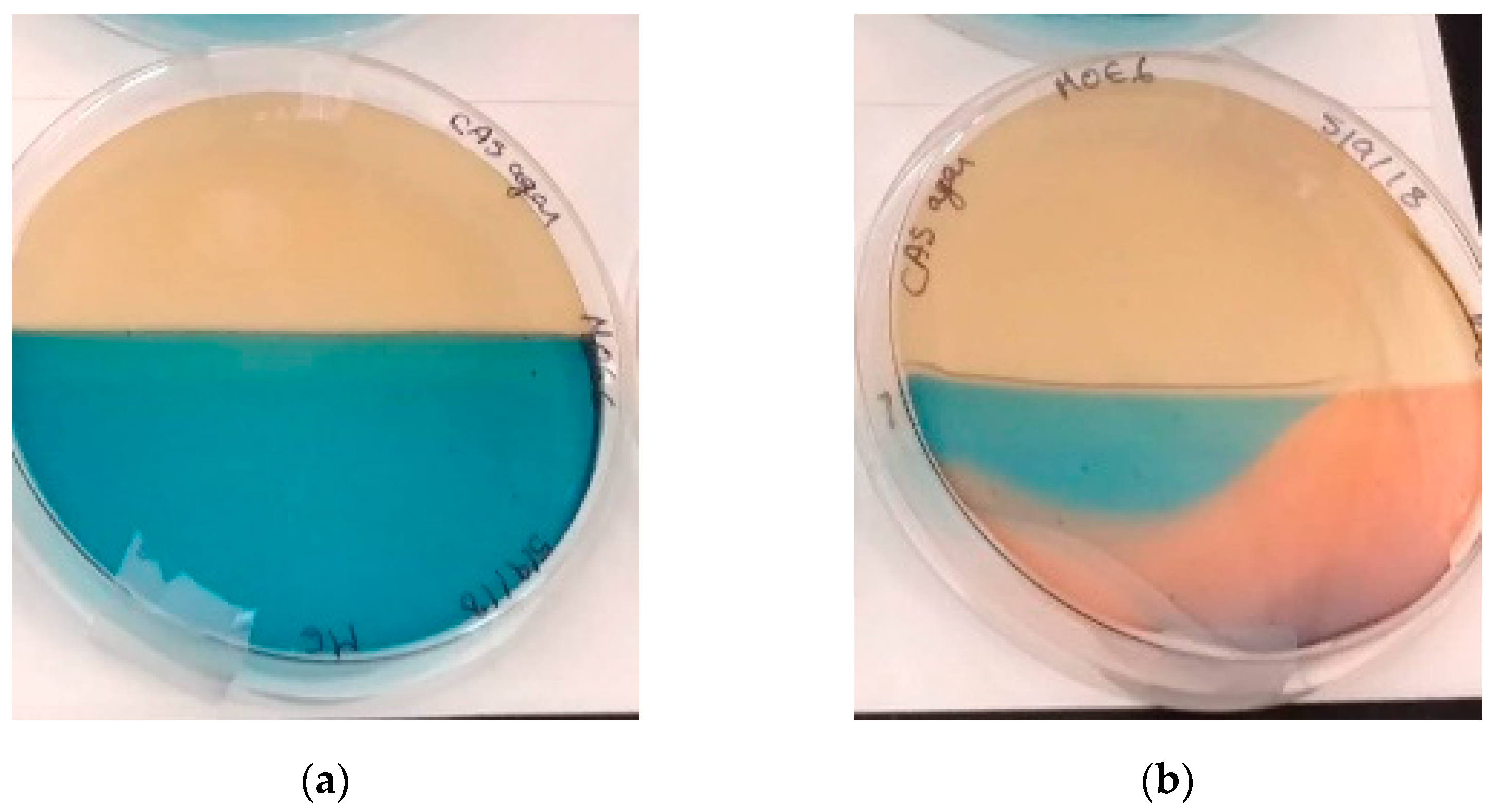 Polysaccharides 02 00004 g003