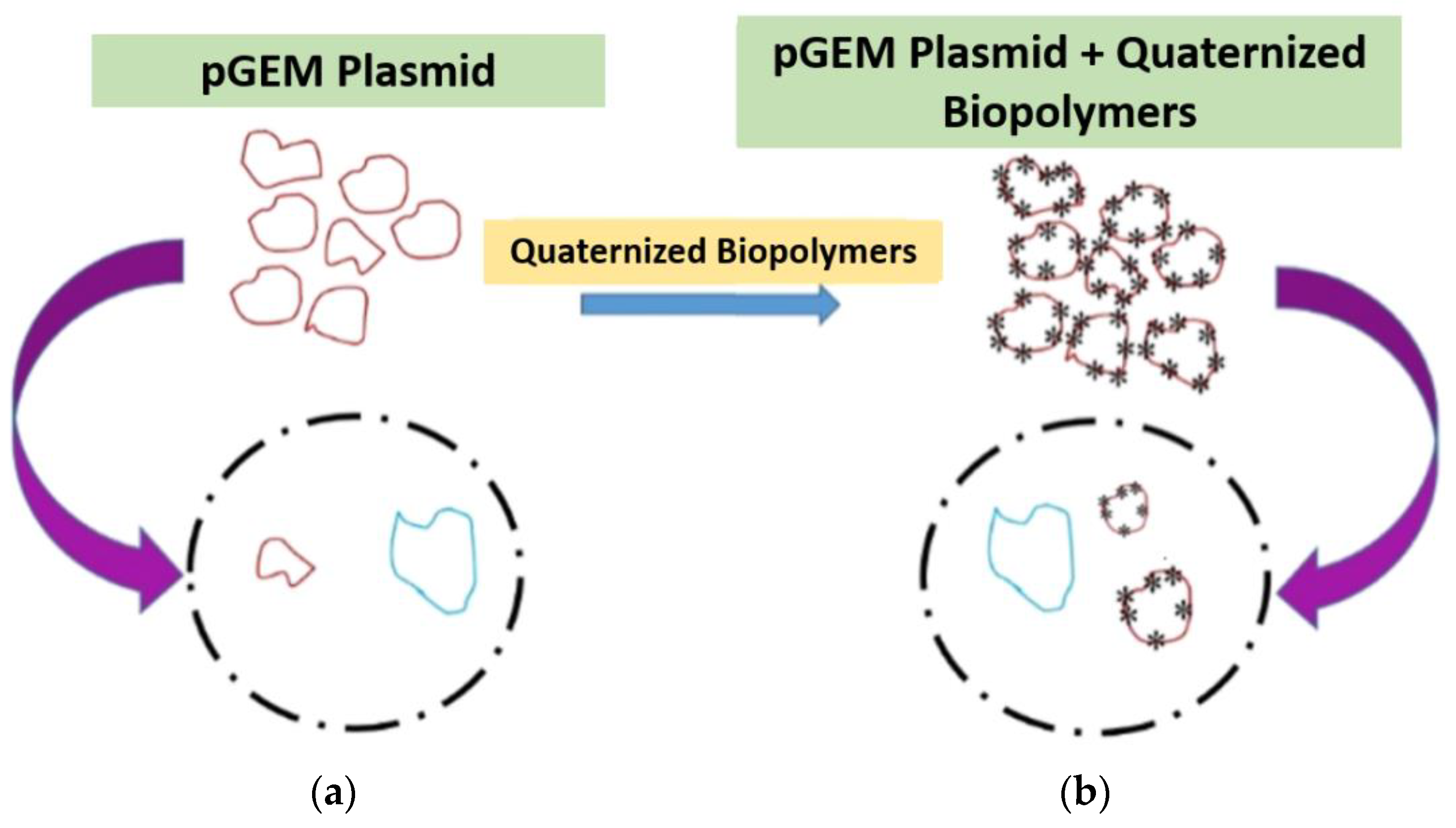 Polysaccharides 02 00007 g001