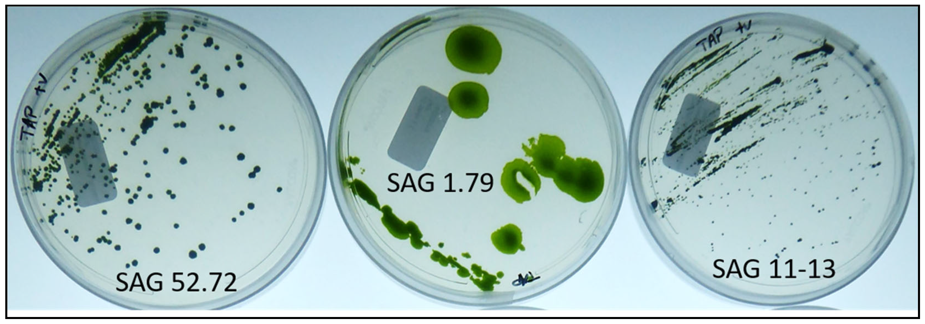 Polysaccharides 02 00009 g001