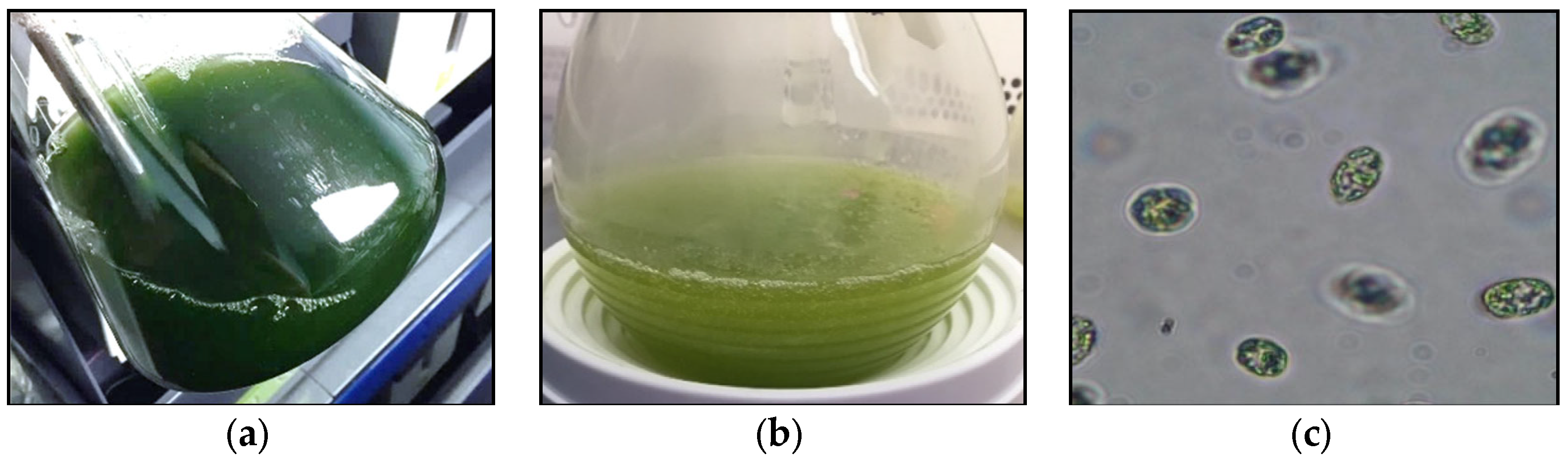 Polysaccharides 02 00009 g003a