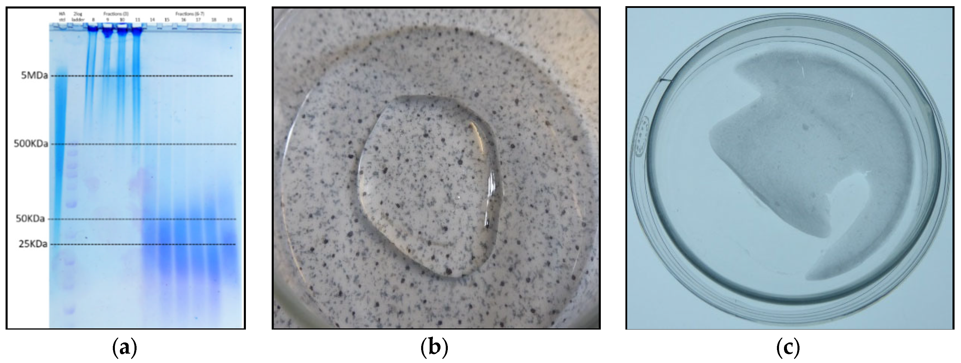 Polysaccharides 02 00009 g005