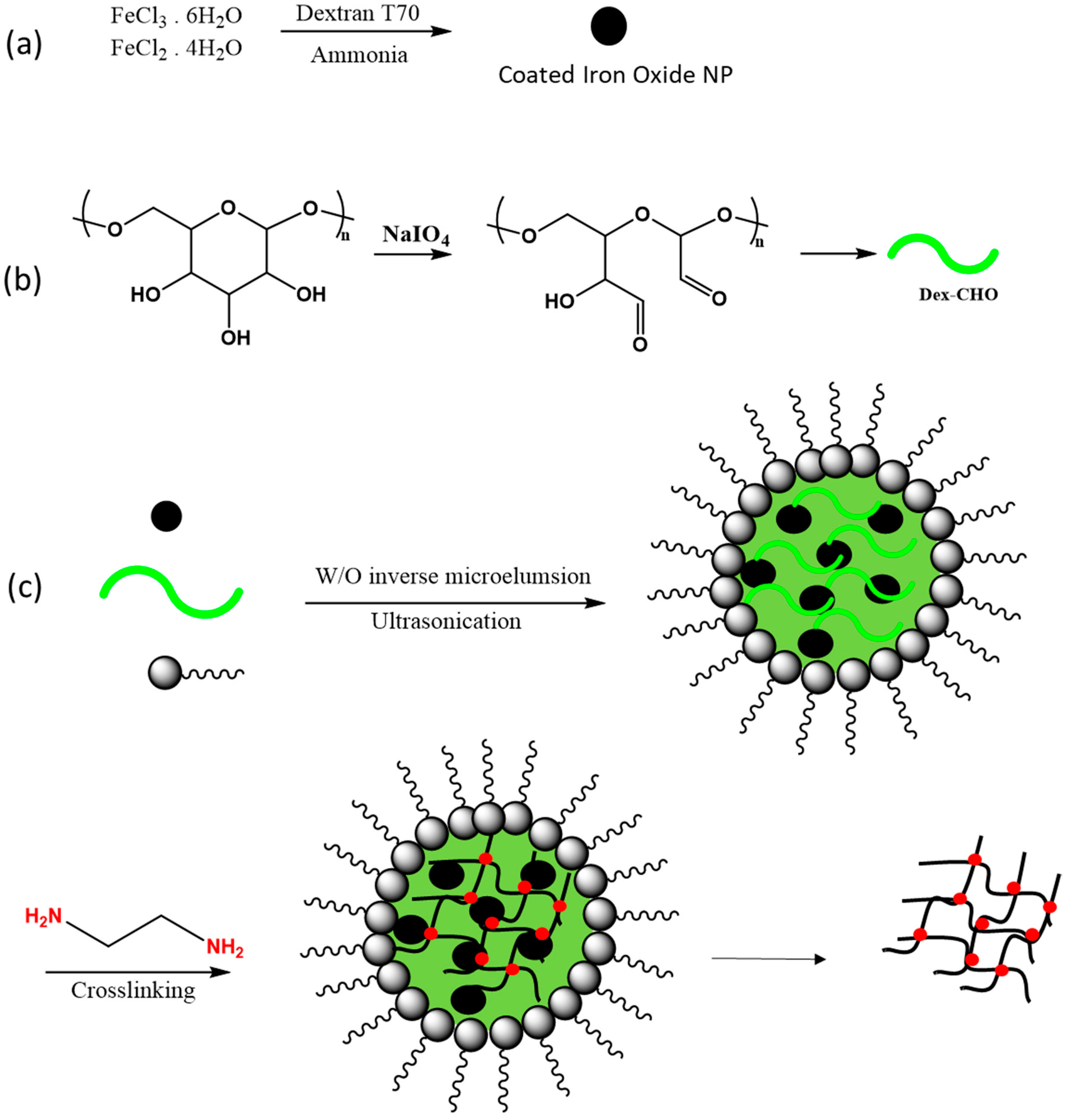 Polysaccharides 02 00012 g009