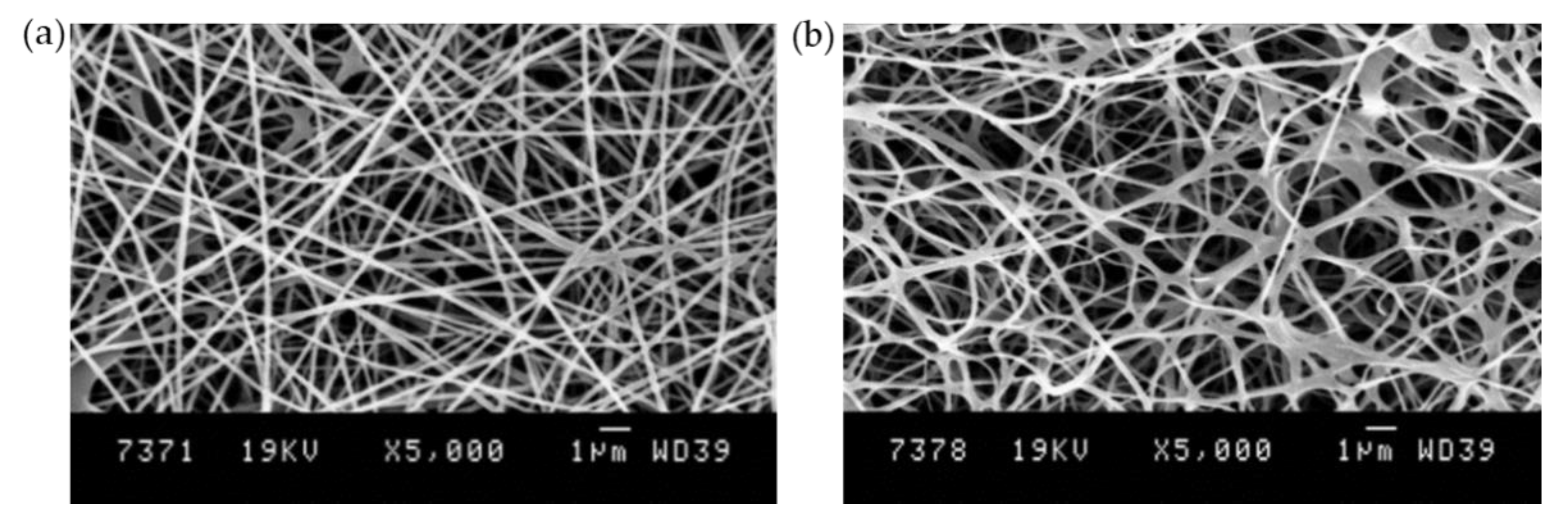 Polysaccharides 02 00019 g002