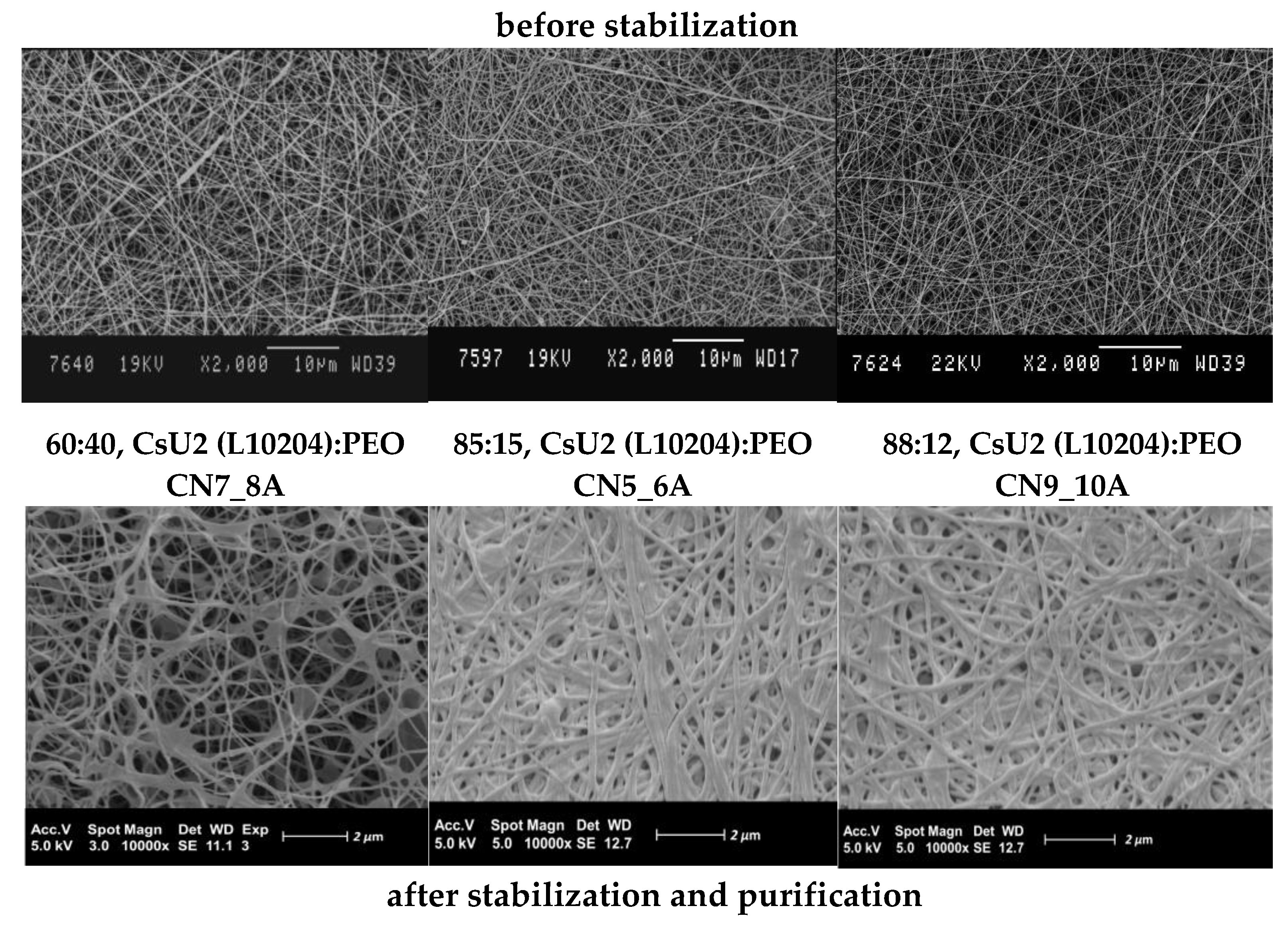 Polysaccharides 02 00019 g007