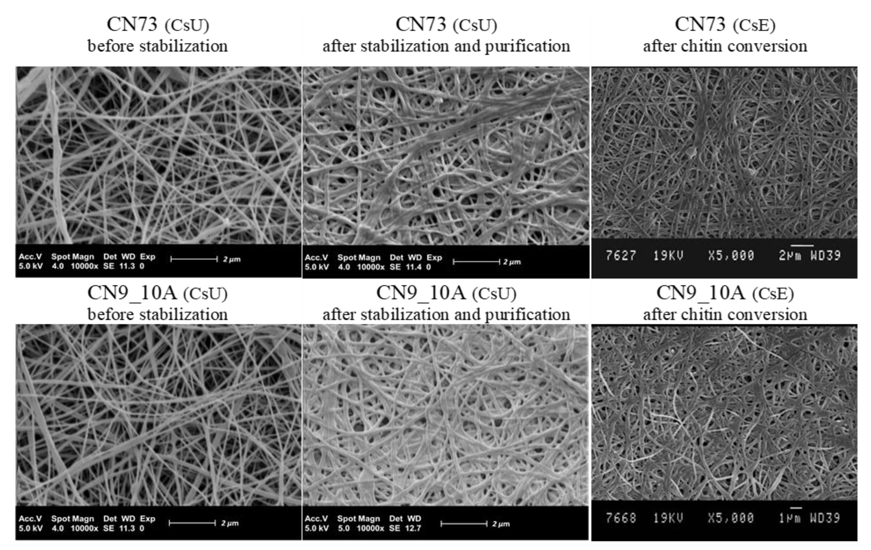Polysaccharides 02 00019 g008