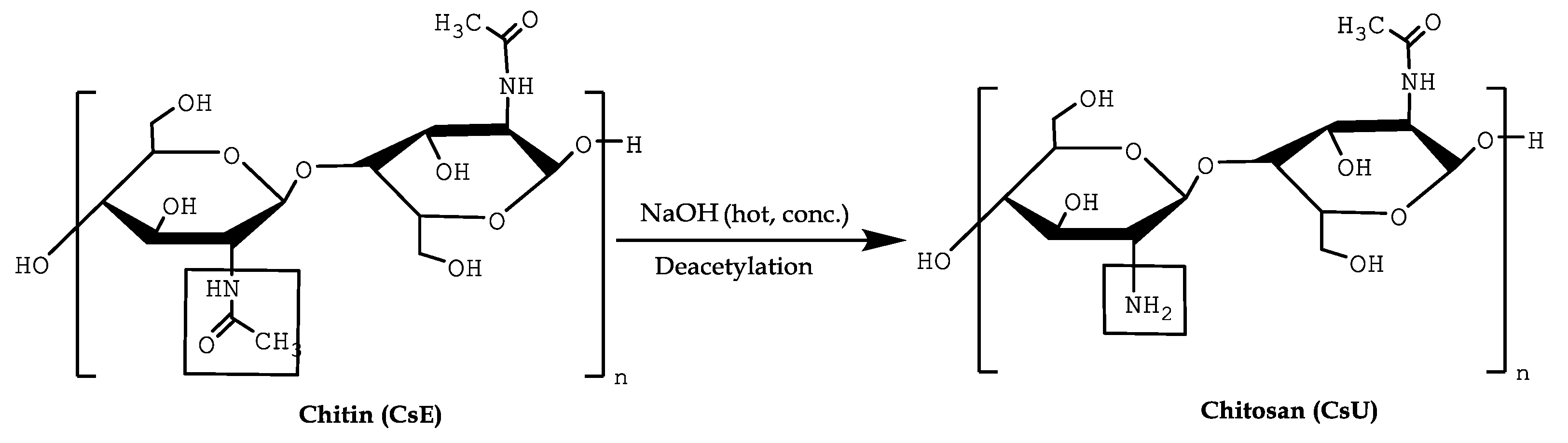 Polysaccharides 02 00019 sch001