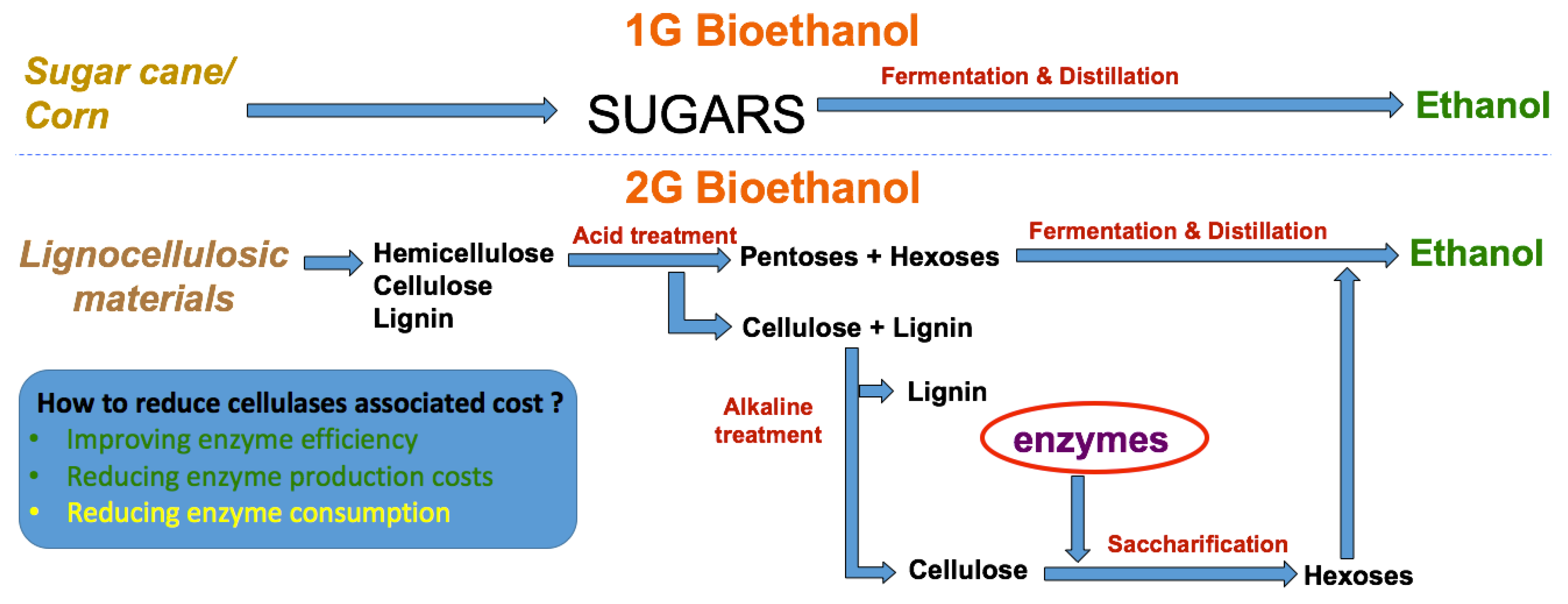 Polysaccharides 02 00020 g001 Polysaccharides 02 00020 g001