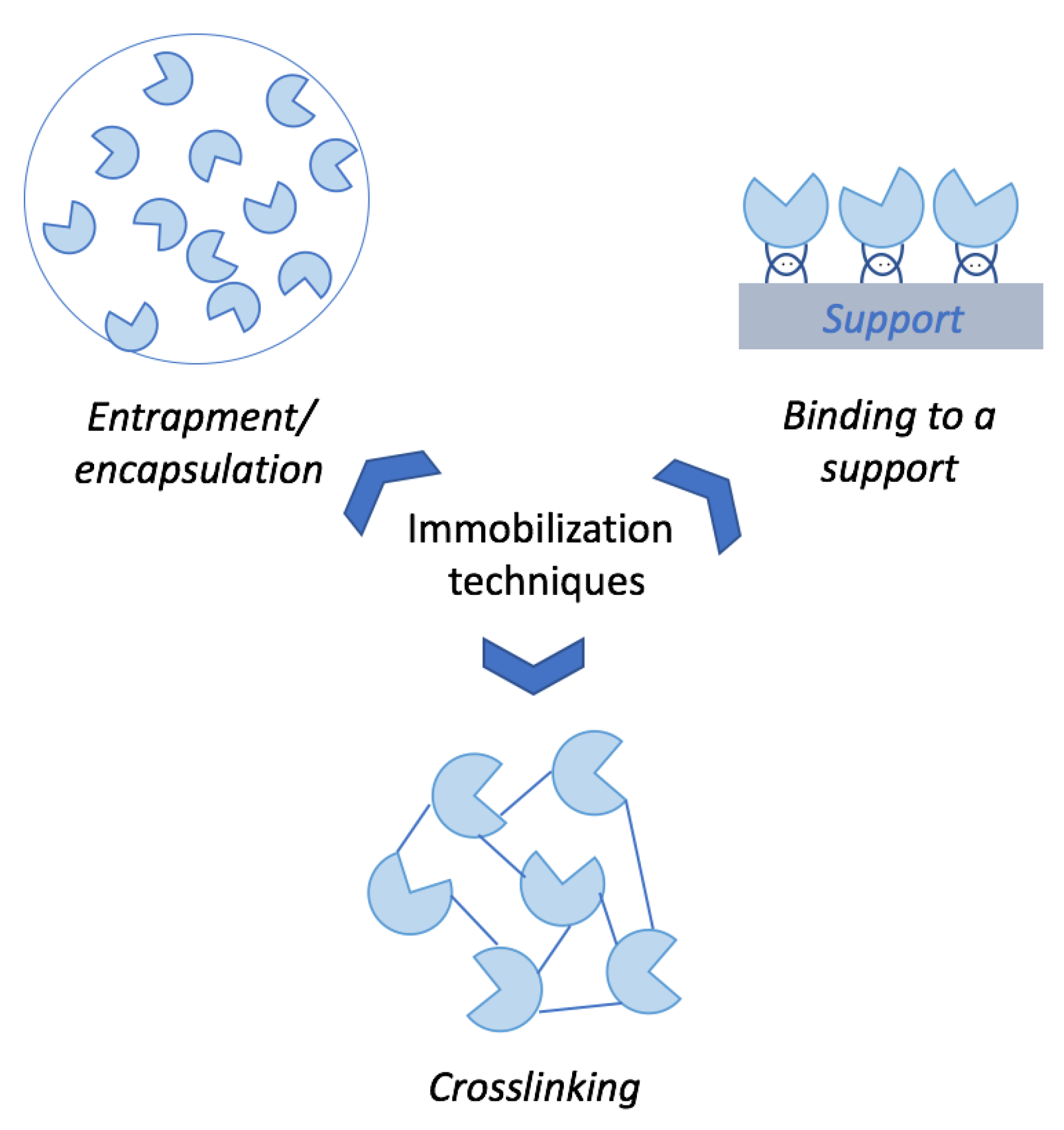 Polysaccharides 02 00020 g004 Polysaccharides 02 00020 g004