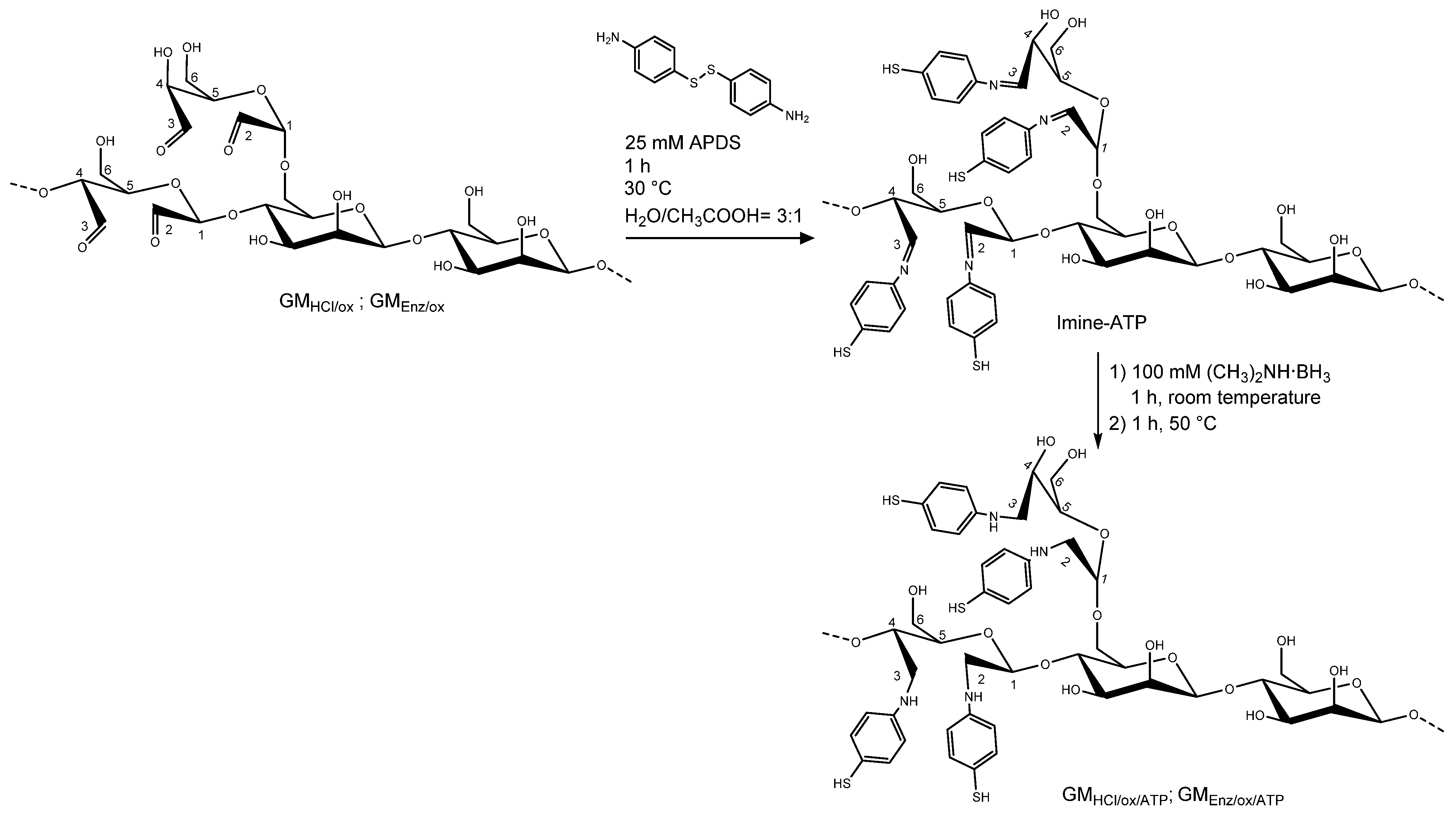 Polysaccharides 02 00030 g003
