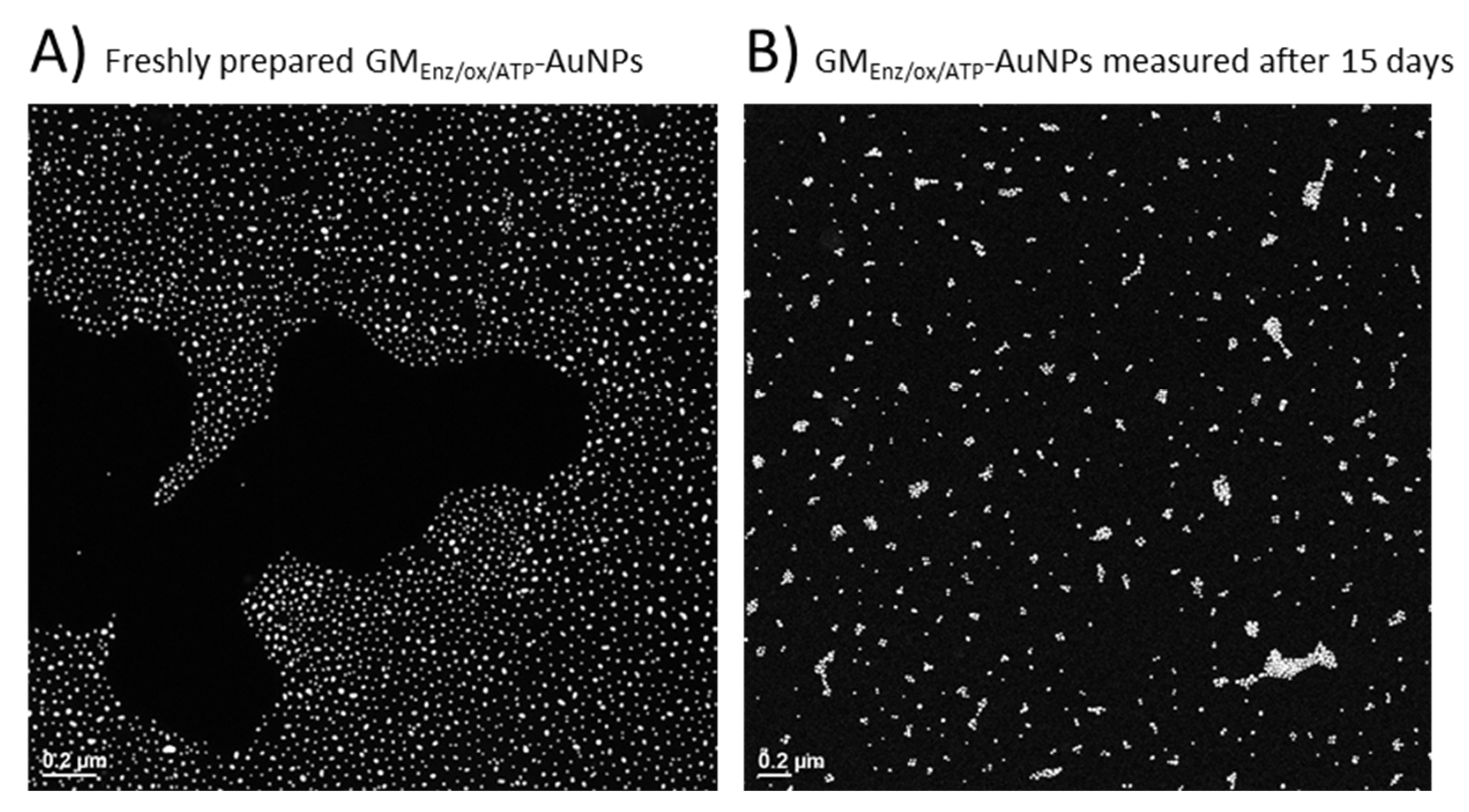Polysaccharides 02 00030 g008