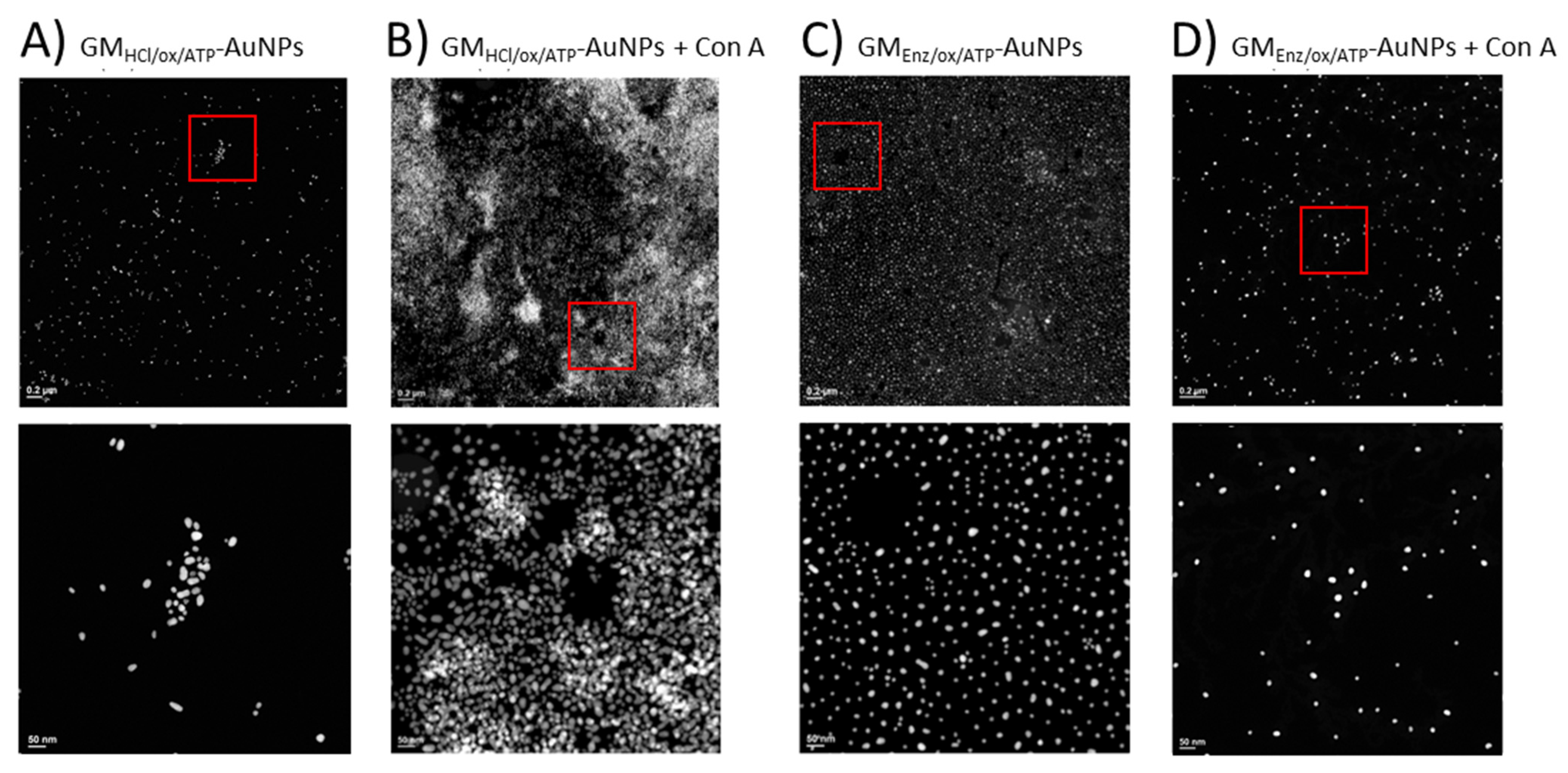 Polysaccharides 02 00030 g009