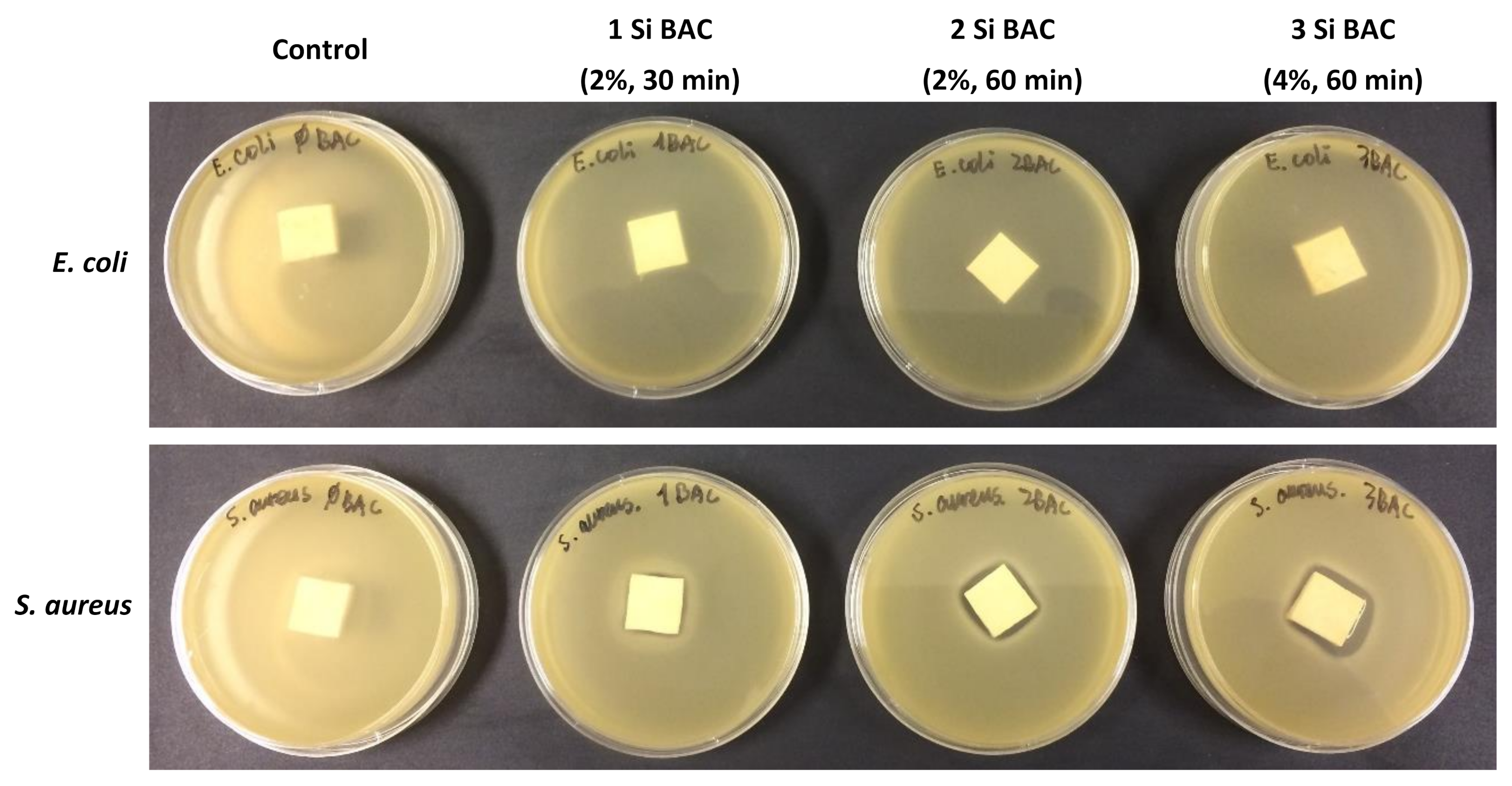 Polysaccharides 02 00034 g003