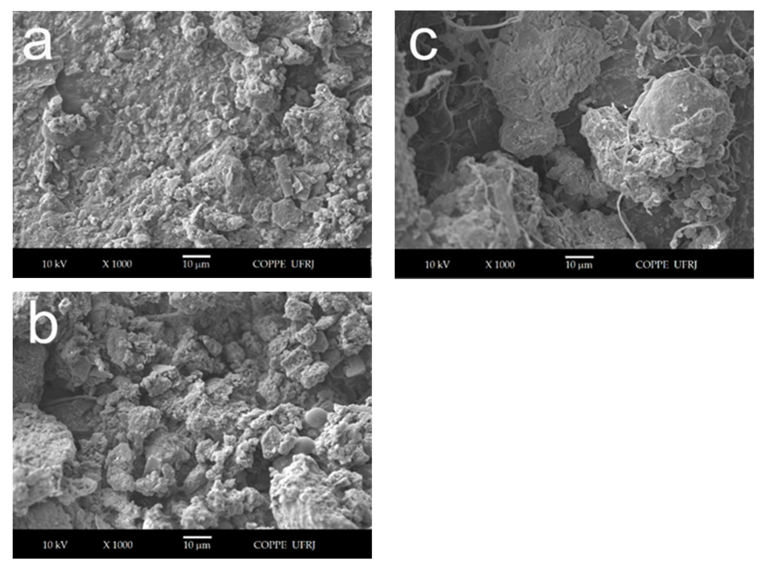 Polysaccharides 02 00035 g007